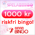 Spela Maria Bingo