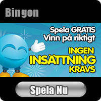 Spela Bingon