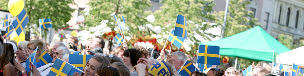 Fakta om svenska Bingospelare